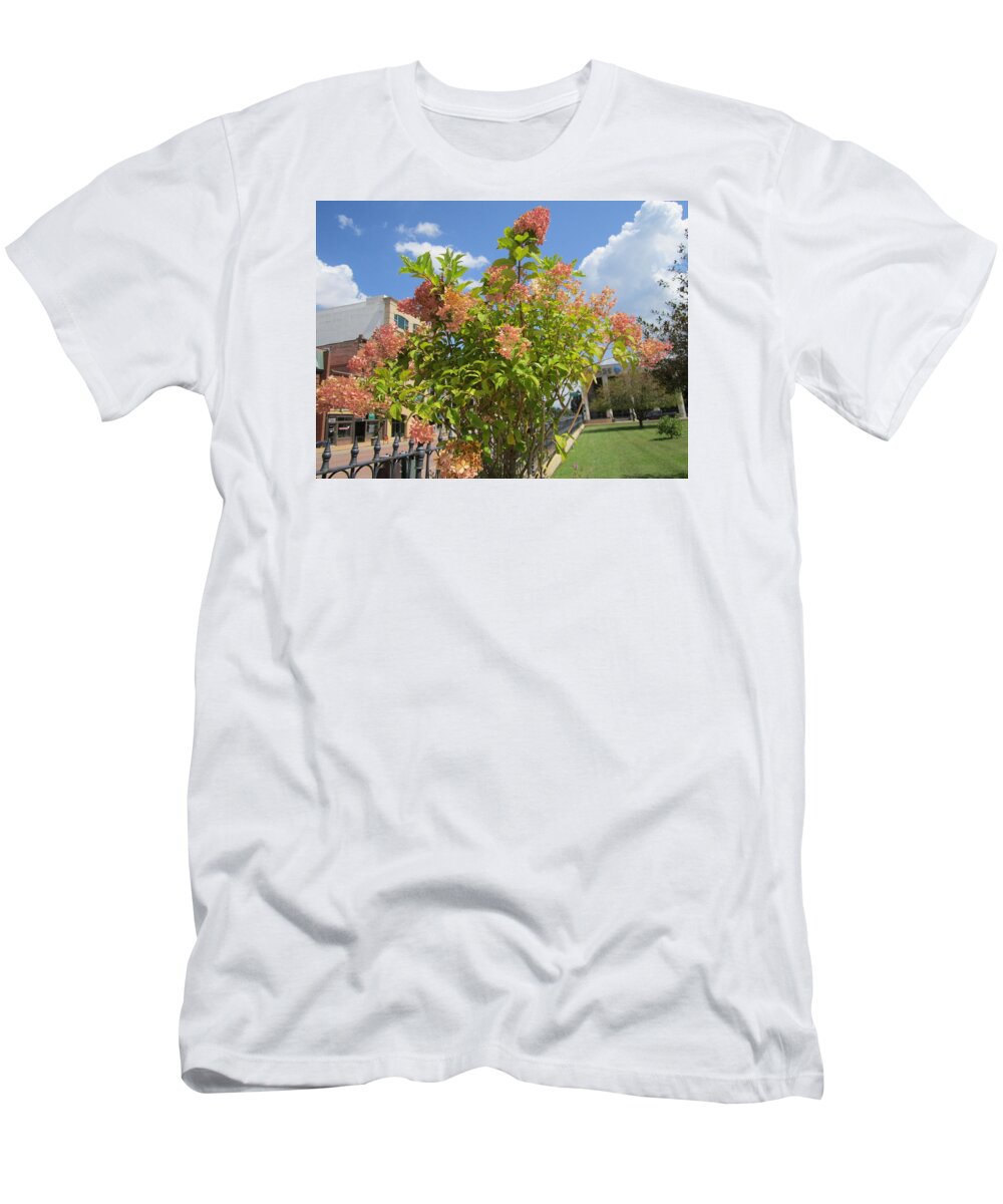 Photography T-Shirt featuring the painting Attractive flowering Tree by Glenda Crigger
