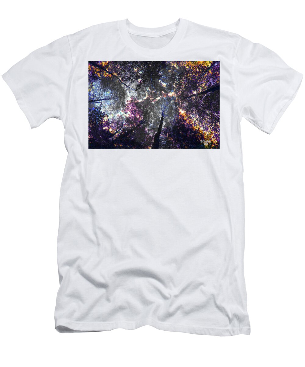 Tree Tops T-Shirt featuring the photograph Autumn Abstract by David Stasiak