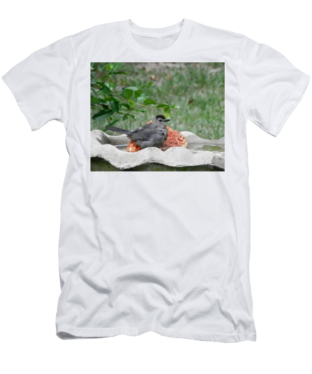 #southgeorgia 95 #degrees T-Shirt featuring the photograph MEOW Cat Bird Bathing and Chilling by Belinda Lee
