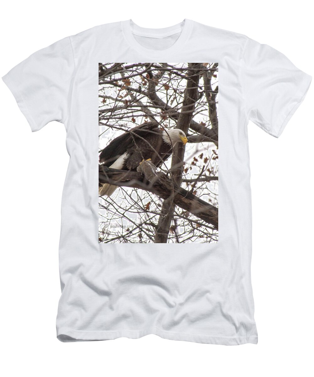  T-Shirt featuring the photograph Backyard Eagle And Squirrel.... by Paul Vitko