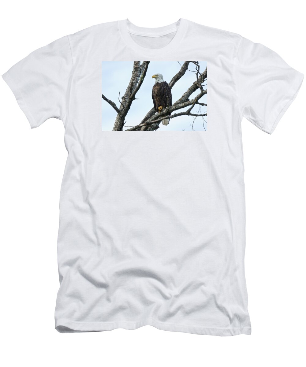 Bird T-Shirt featuring the photograph Bald Eagle 5 by Steven Clipperton