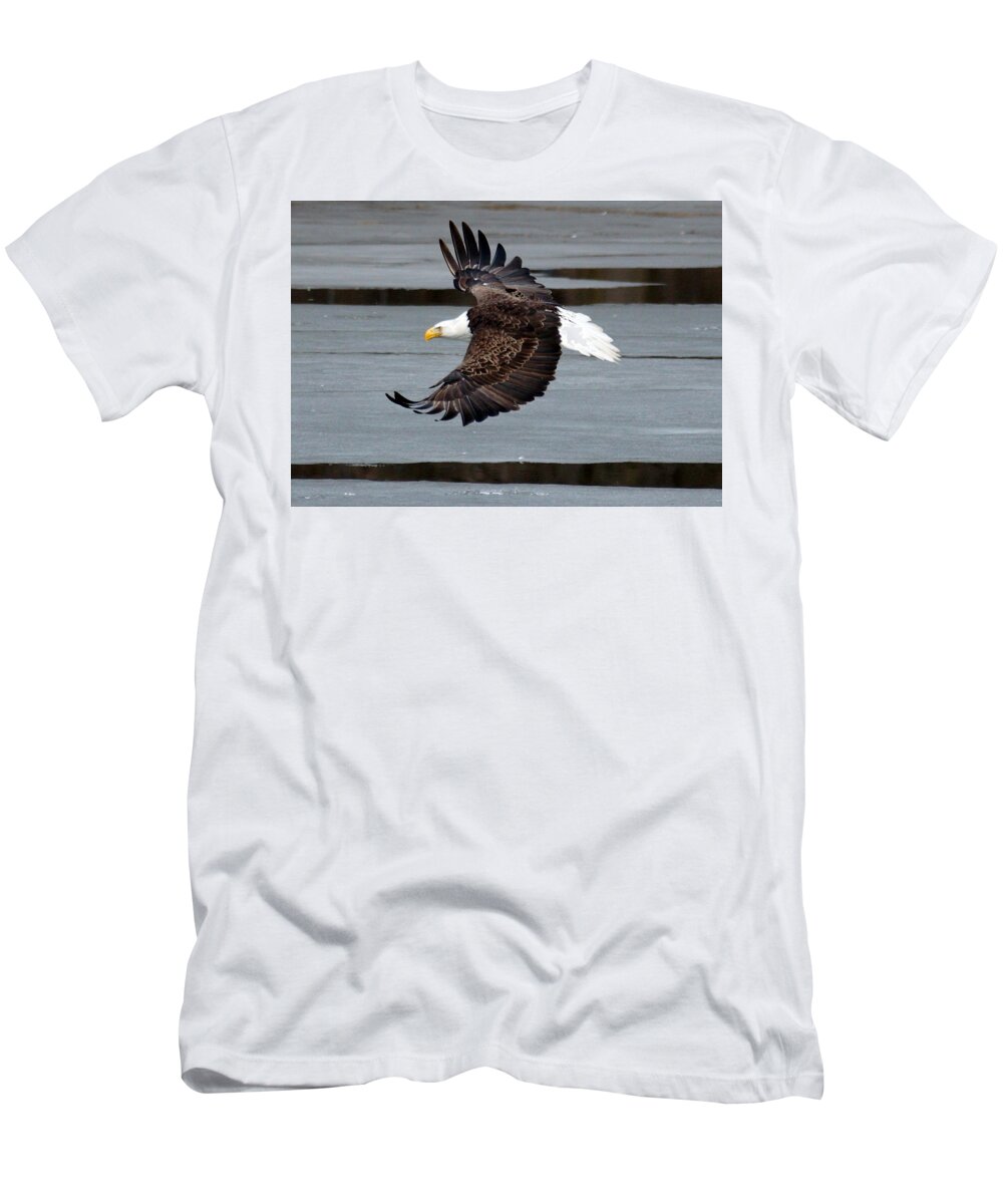 Flight T-Shirt featuring the photograph Bald Eagle in Flight by Beth Collins
