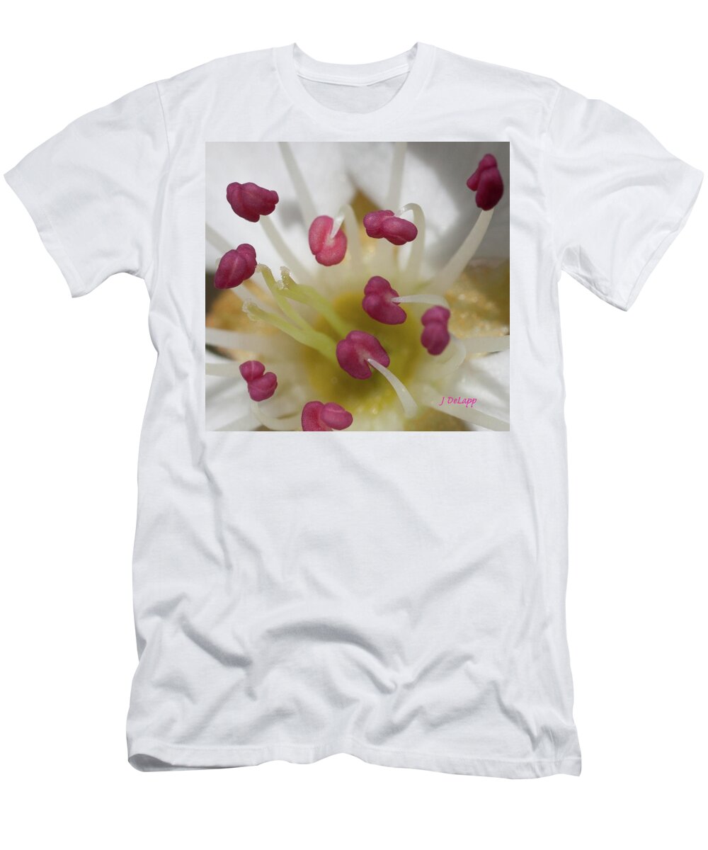 Pear T-Shirt featuring the photograph Bartlett Pear by Janet DeLapp