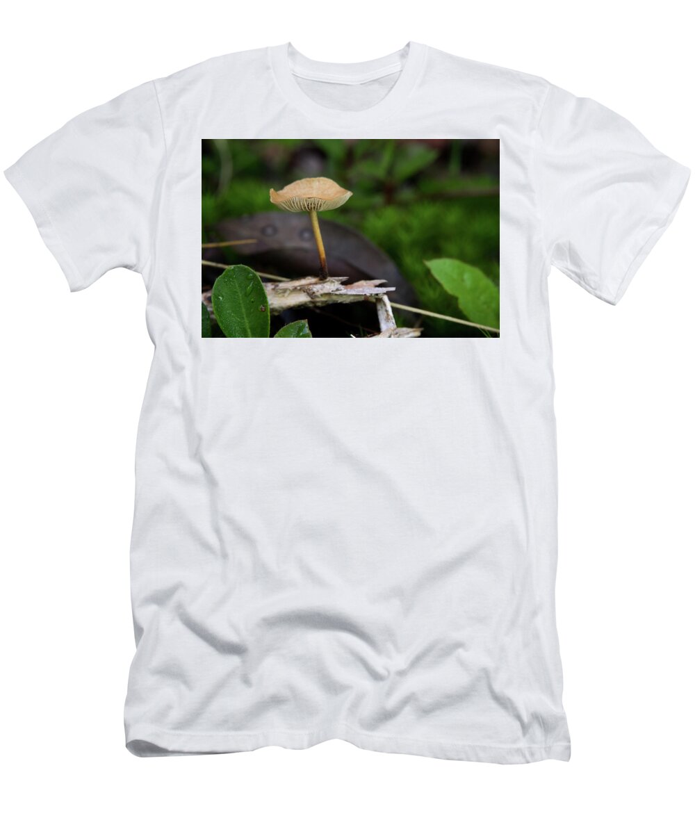 Basideomycte T-Shirt featuring the photograph Basideomycte Mushroom Growing on a Sliver of Wood by Douglas Barnett