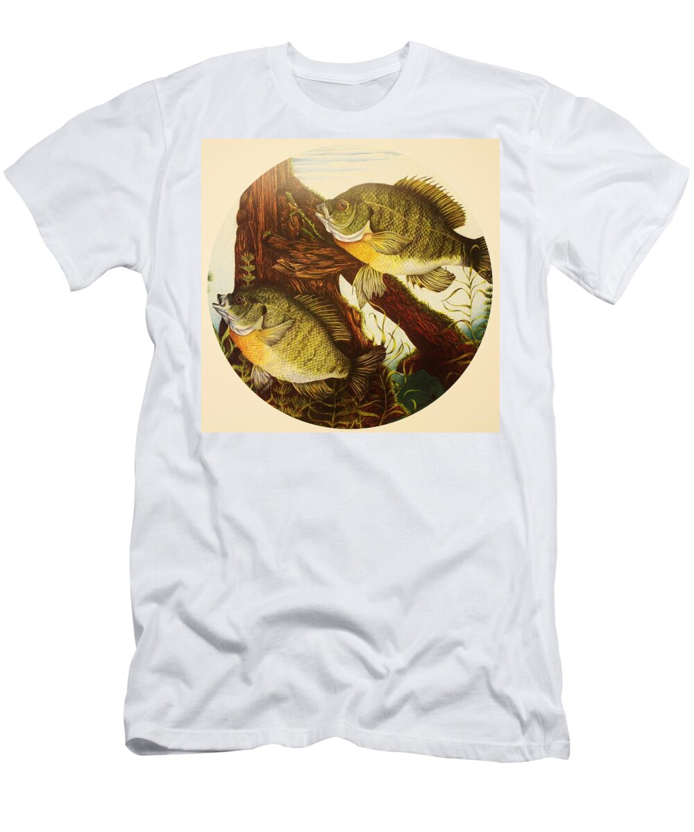 Fishing T-Shirt featuring the drawing Basking Bluegills by Bruce Bley
