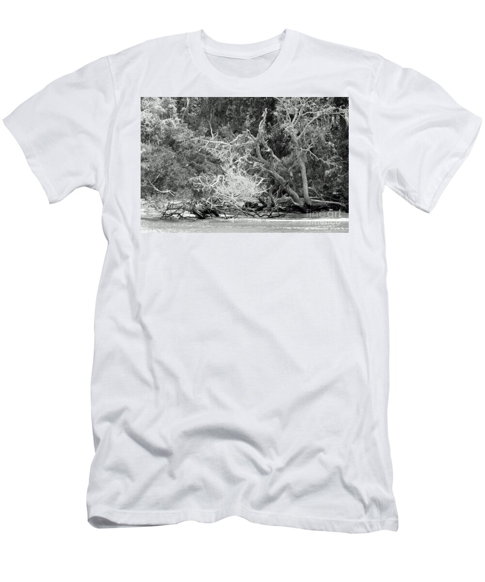 Beach T-Shirt featuring the photograph Beach Bones by D Hackett