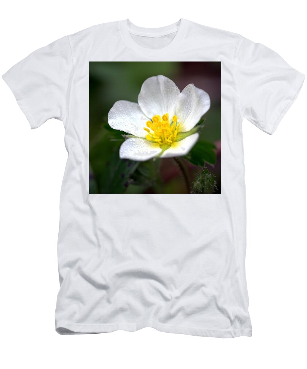 Skompski T-Shirt featuring the photograph Beach Flower by Joseph Skompski