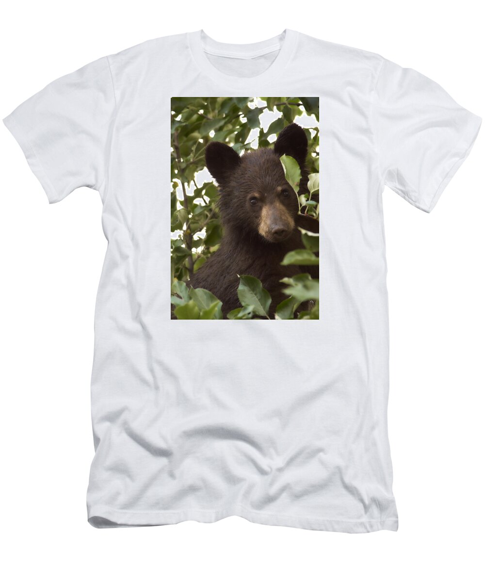 Black Bear T-Shirt featuring the photograph Bear Cub in Apple Tree7 by Loni Collins