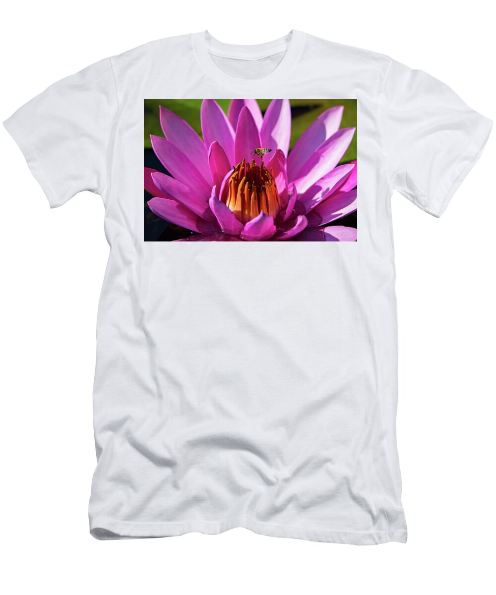 Bee T-Shirt featuring the photograph Bee Hovering Over Pink Water Lily by Artful Imagery