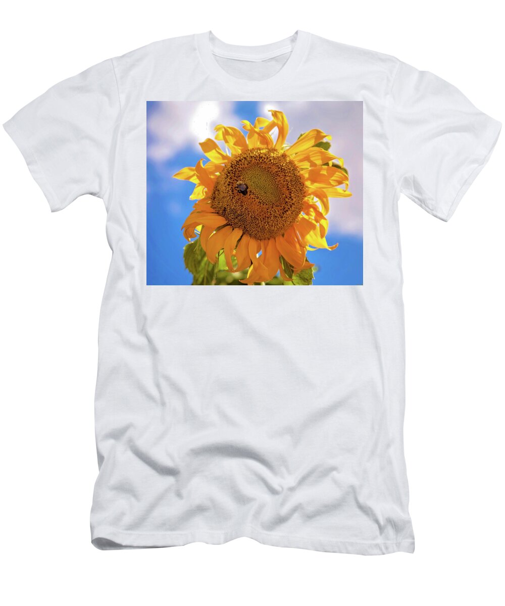 Sunflower T-Shirt featuring the photograph Bee shaded by Sunflower by Toni Hopper