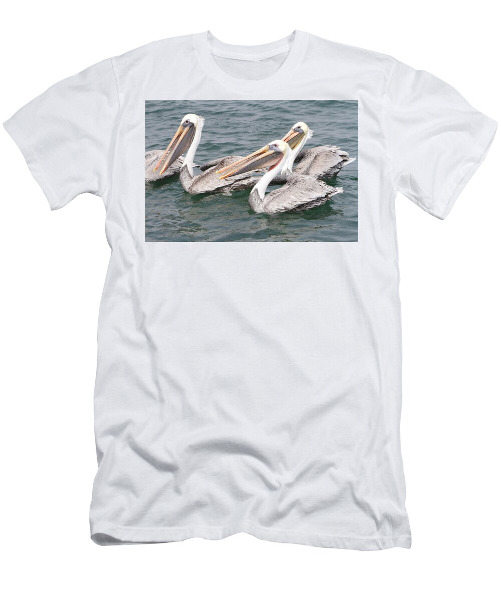 Pelican T-Shirt featuring the photograph Begging For Food by Shoal Hollingsworth