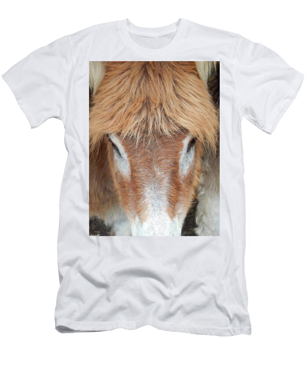 Donkey T-Shirt featuring the photograph Believe Me Its Real by Jan Gelders