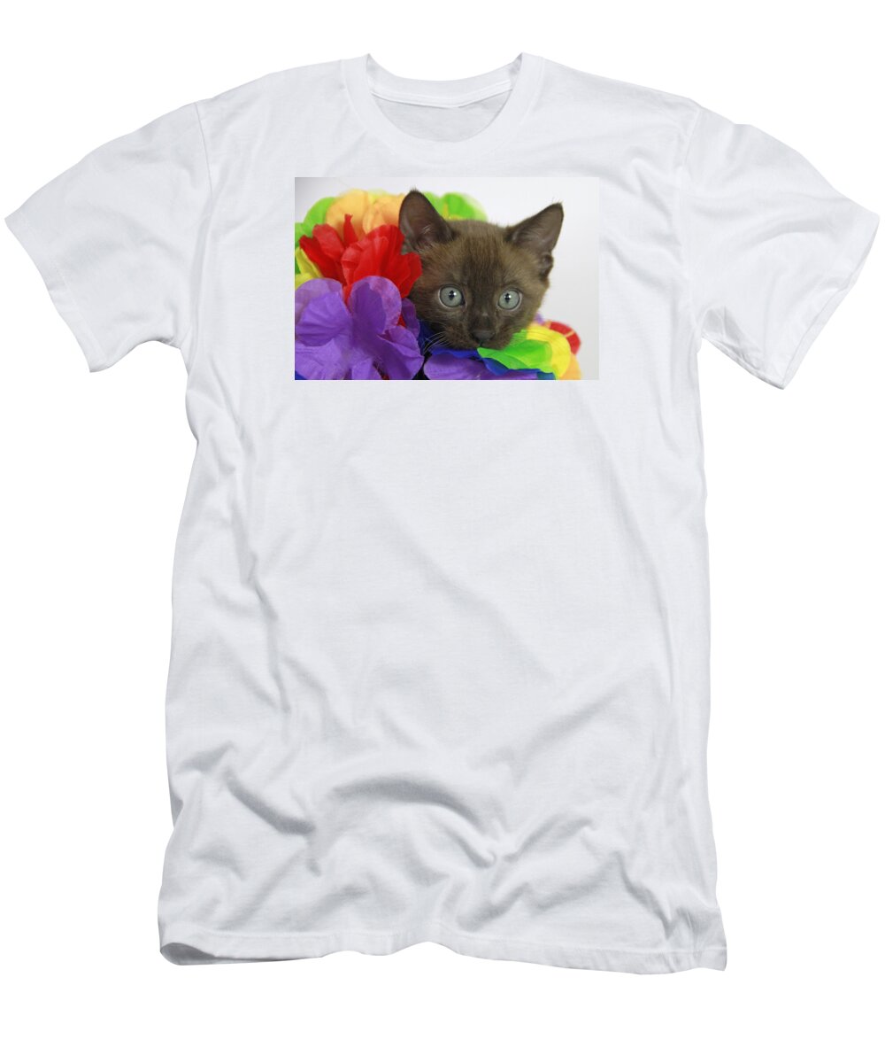 Bengal T-Shirt featuring the photograph Bengal Colors by Shoal Hollingsworth