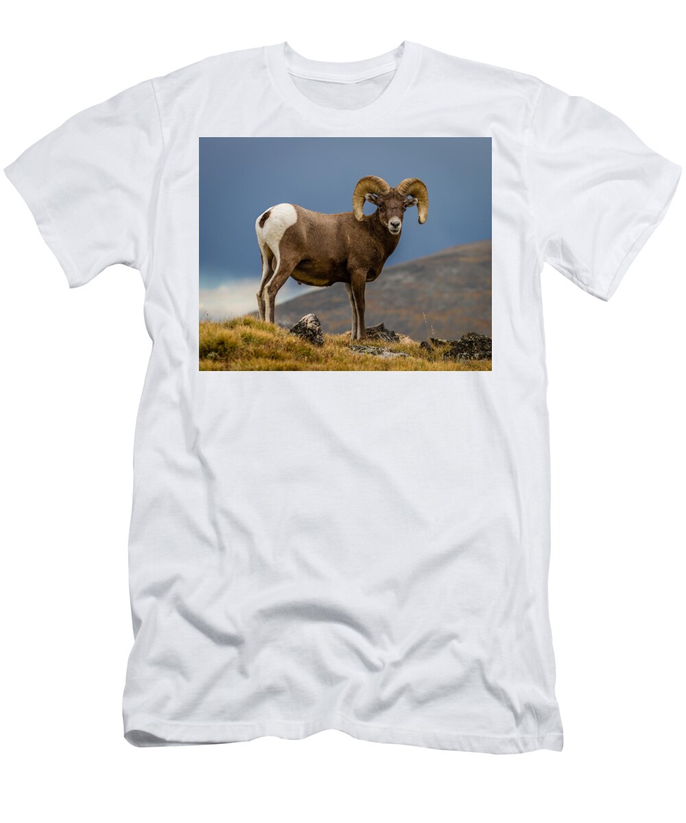 Tapestry T-Shirt featuring the photograph Big Horn by Gary Migues