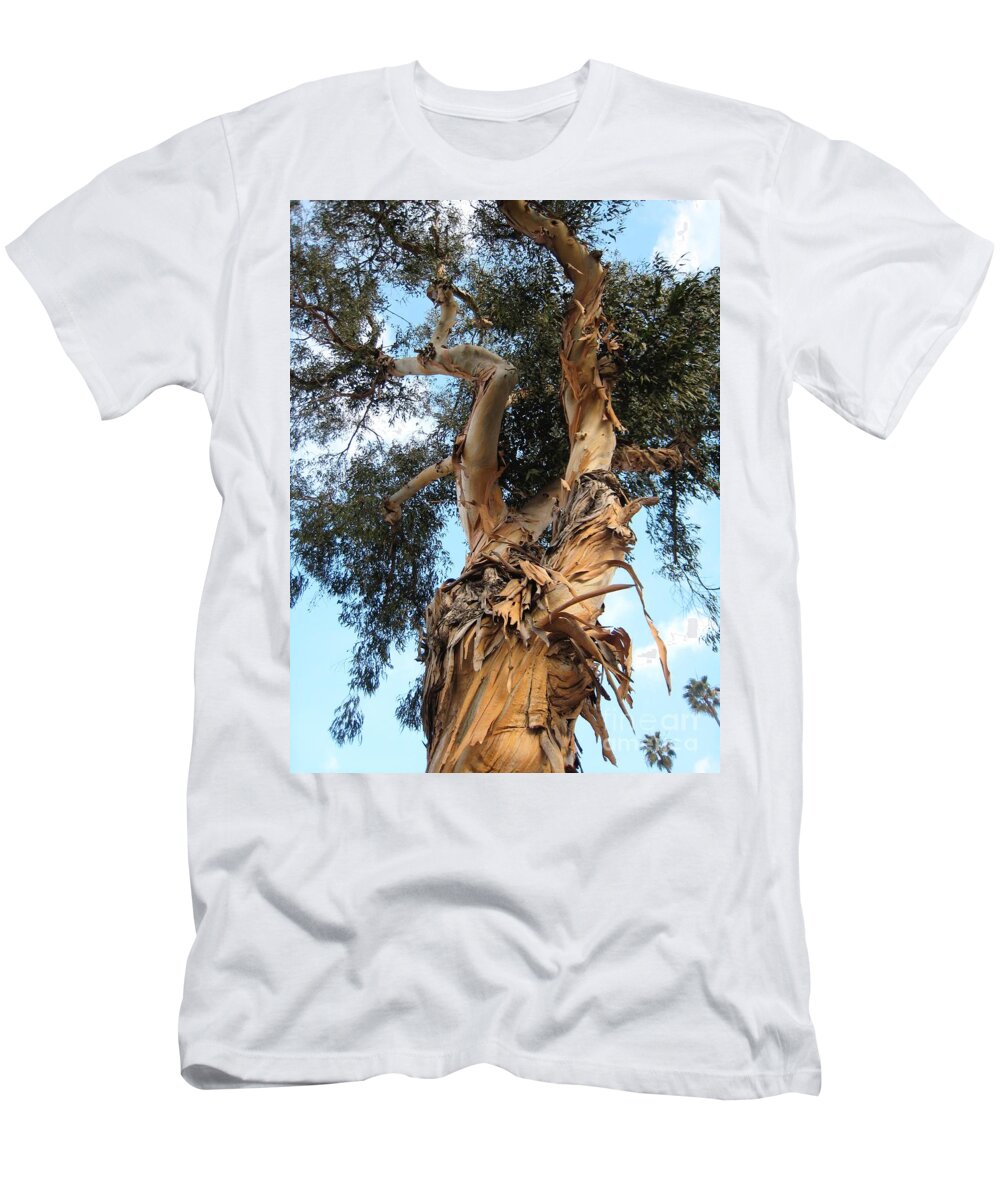 Tree T-Shirt featuring the photograph Big Ole Tree by Glenda Zuckerman