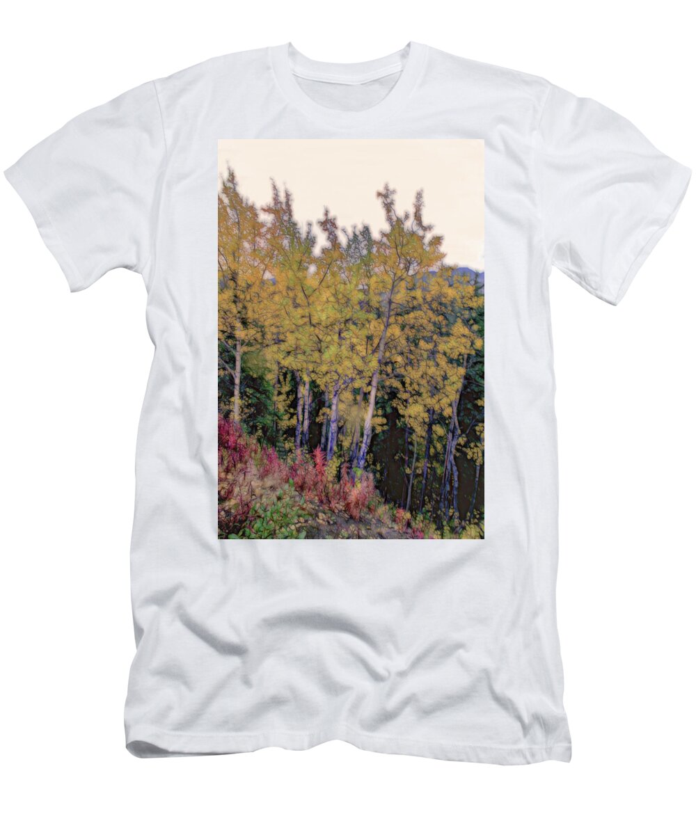 Birch T-Shirt featuring the photograph Birch Trees #2 by Patricia Dennis