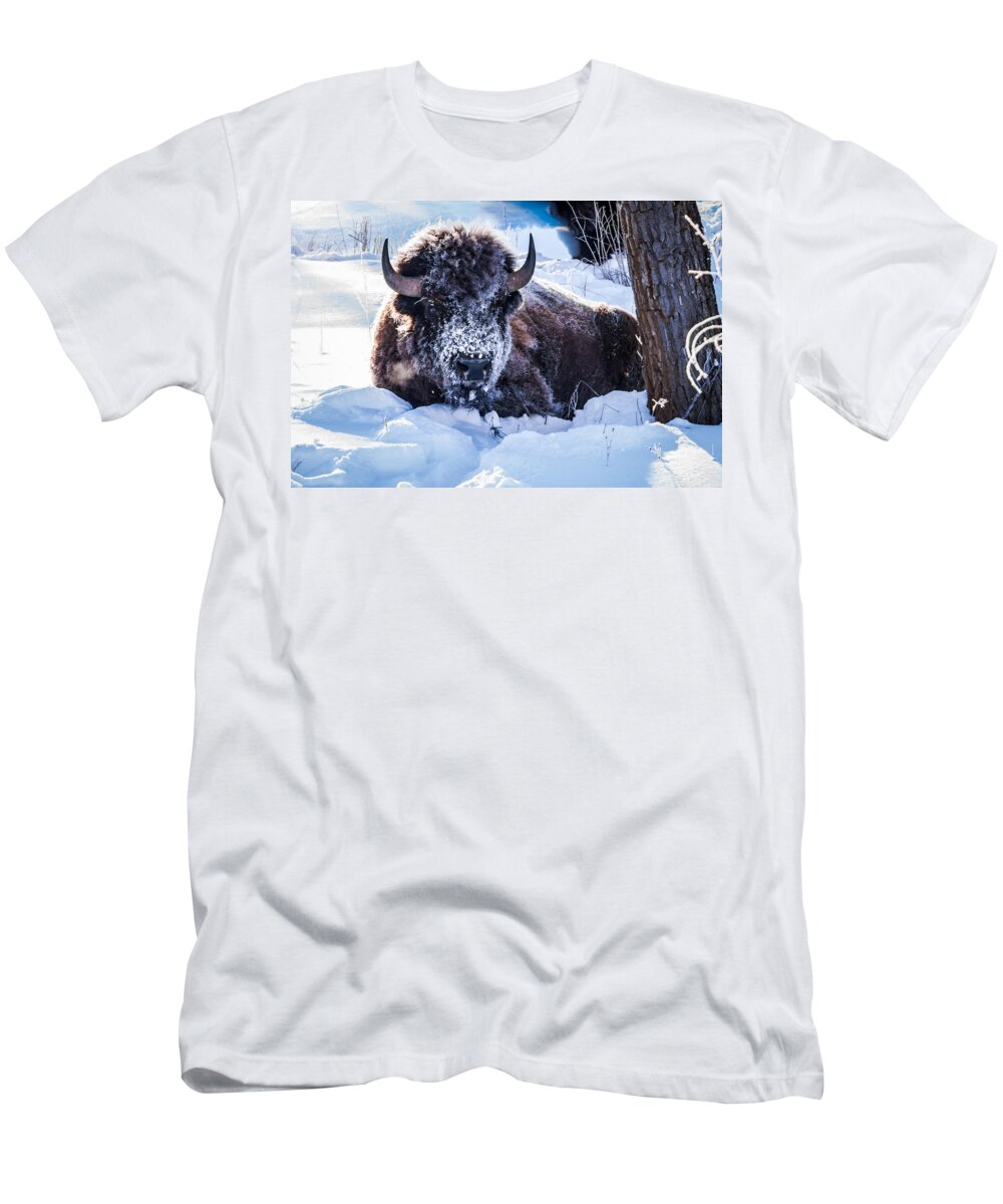 Bison T-Shirt featuring the photograph Bison At Frozen Dawn by Yeates Photography