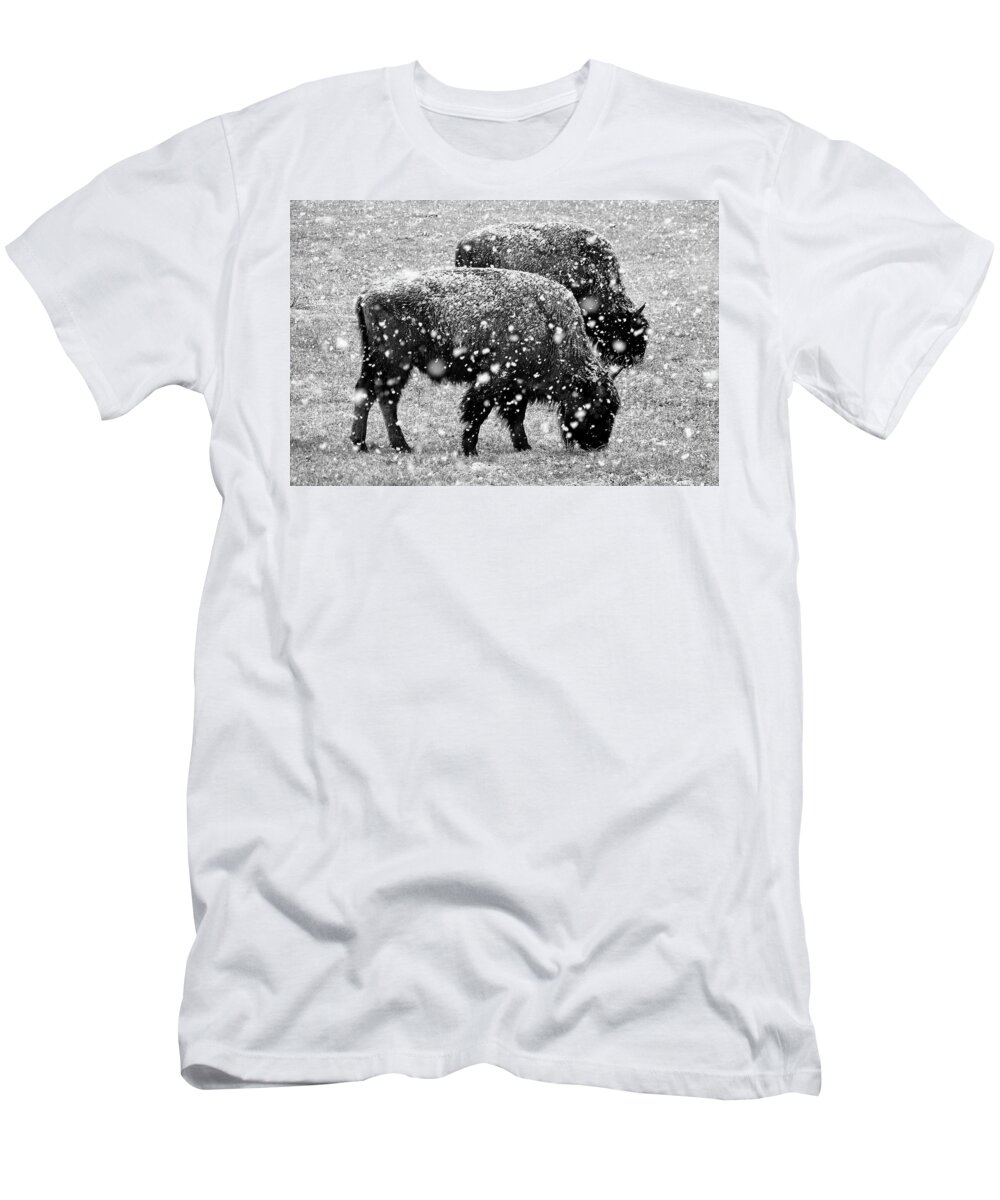 Bison T-Shirt featuring the photograph Bison in Snow by JustJeffAz Photography