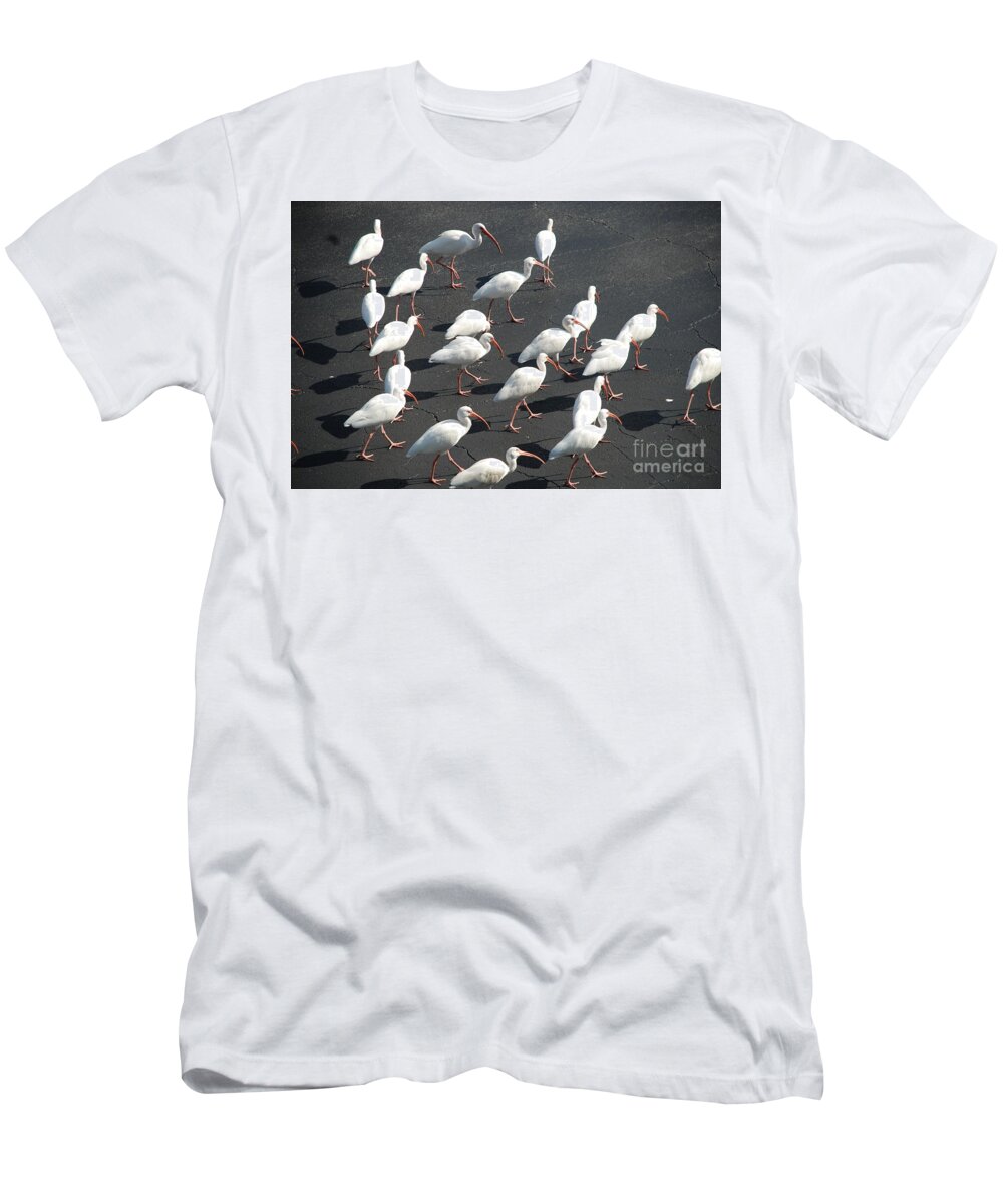 Birds T-Shirt featuring the photograph Black and White by Jim Goodman