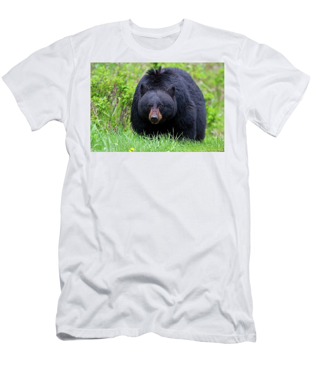 Bear T-Shirt featuring the photograph Black Bear Face to Face by Mark Miller