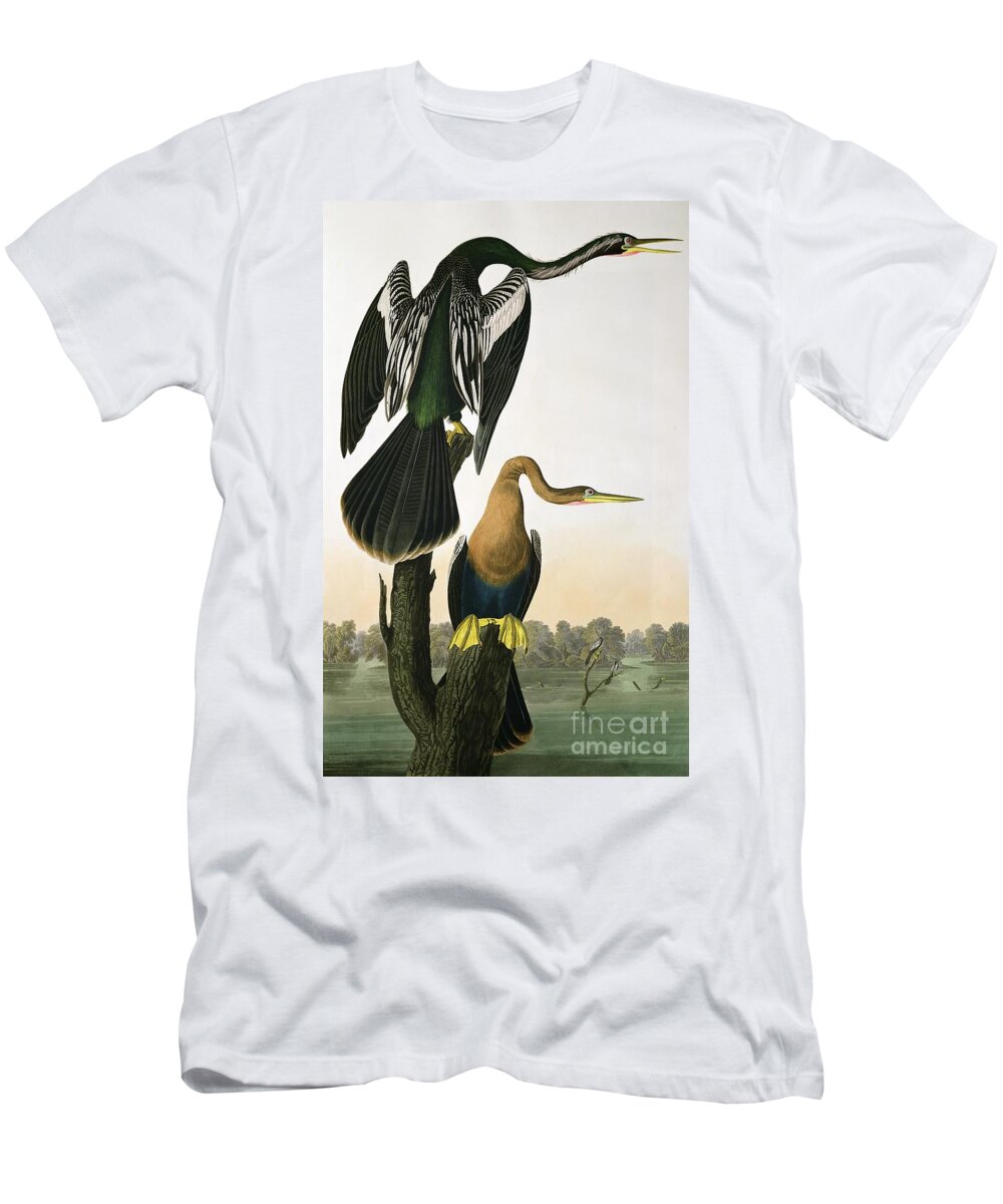 Black-billed Darter T-Shirt featuring the drawing Black Billed Darter by John James Audubon
