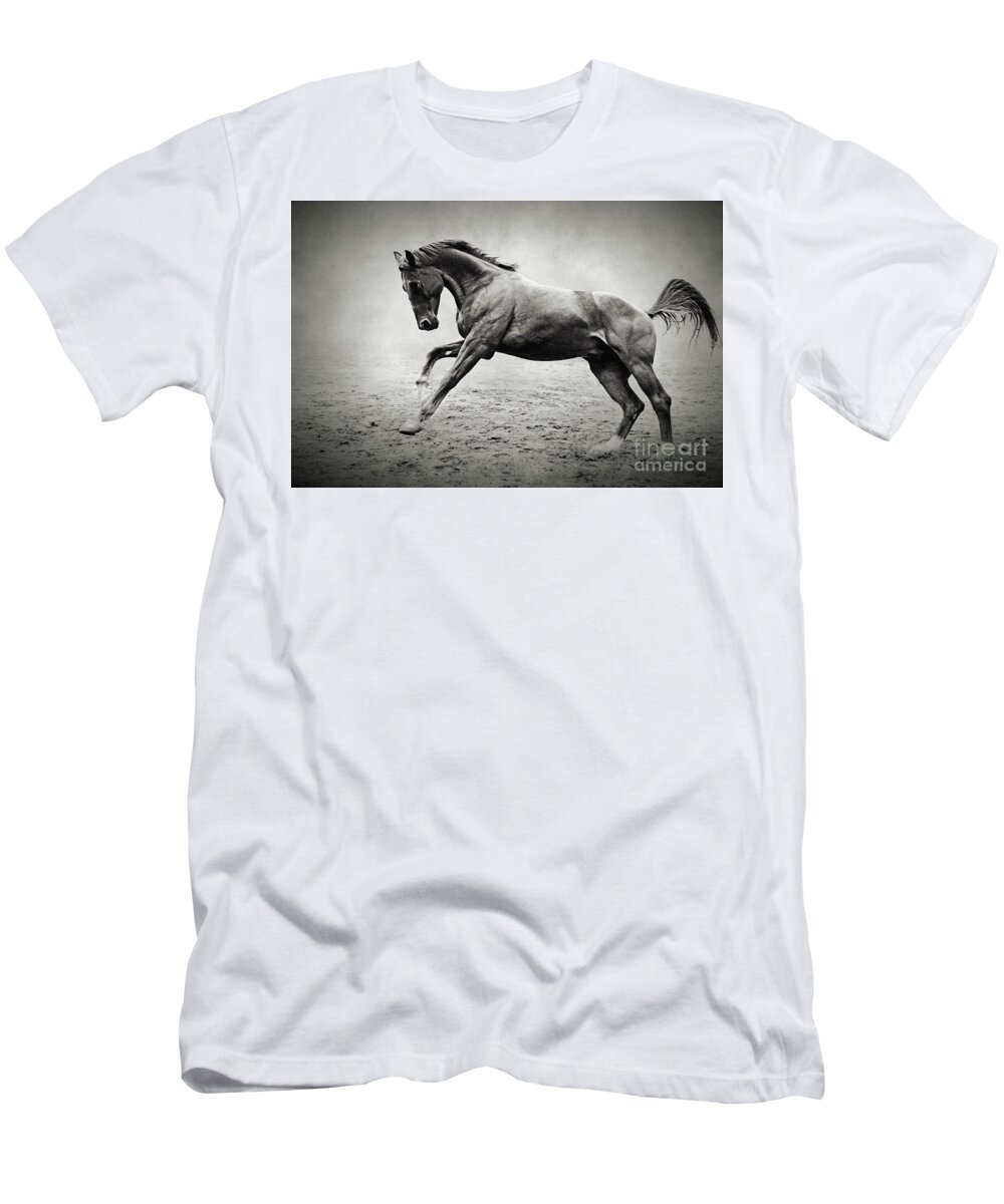 Horse T-Shirt featuring the photograph Black horse in dust by Dimitar Hristov