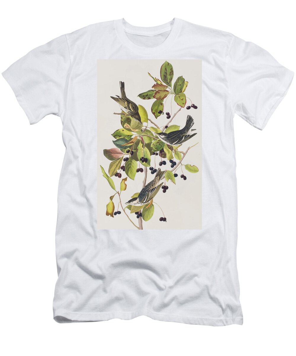 Black Poll Warbler. Black T-Shirt featuring the painting Black Poll Warbler by John James Audubon