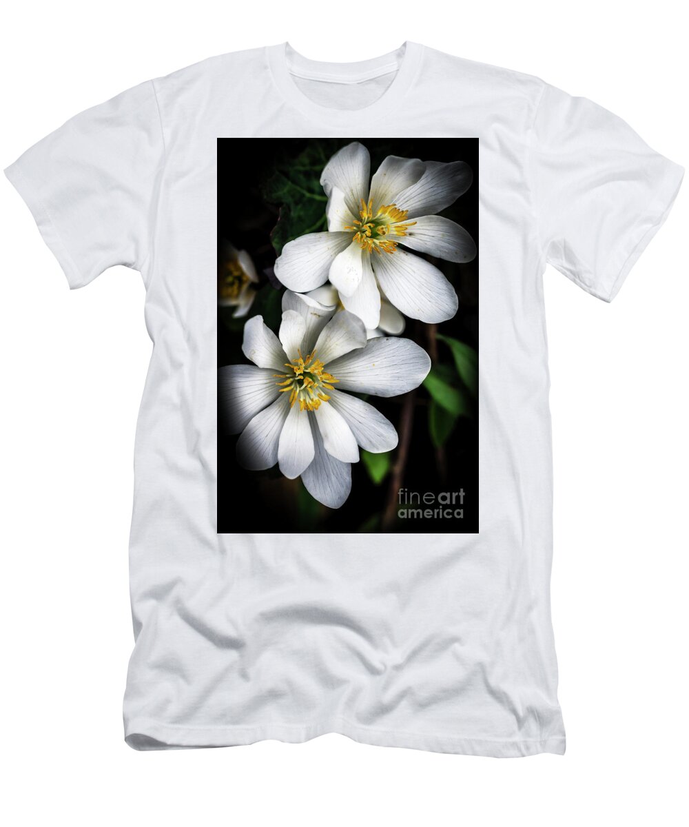 Bloodroot T-Shirt featuring the photograph Bloodroot in Bloom by Thomas R Fletcher