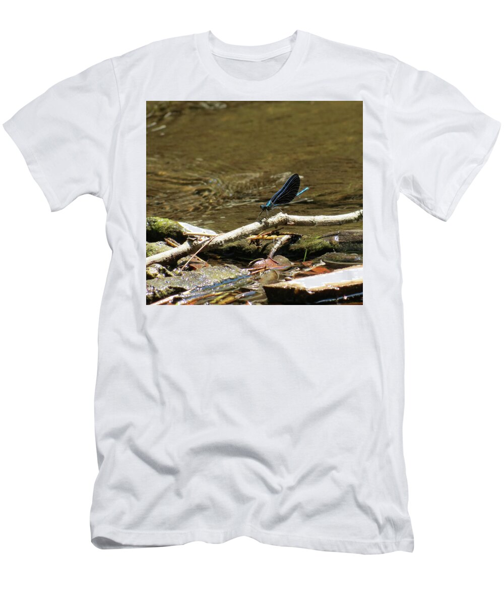 Insect T-Shirt featuring the photograph Blue Beauty by Azthet Photography