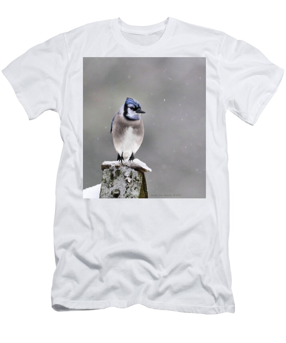Bird T-Shirt featuring the photograph Blue Jay In Snow by Sandra Huston