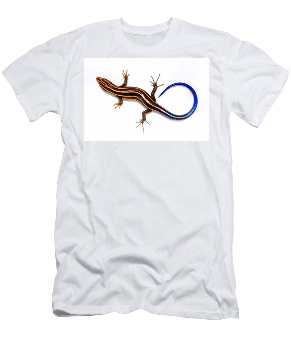 Landscape T-Shirt featuring the photograph Blue Lizard by Morgan Carter