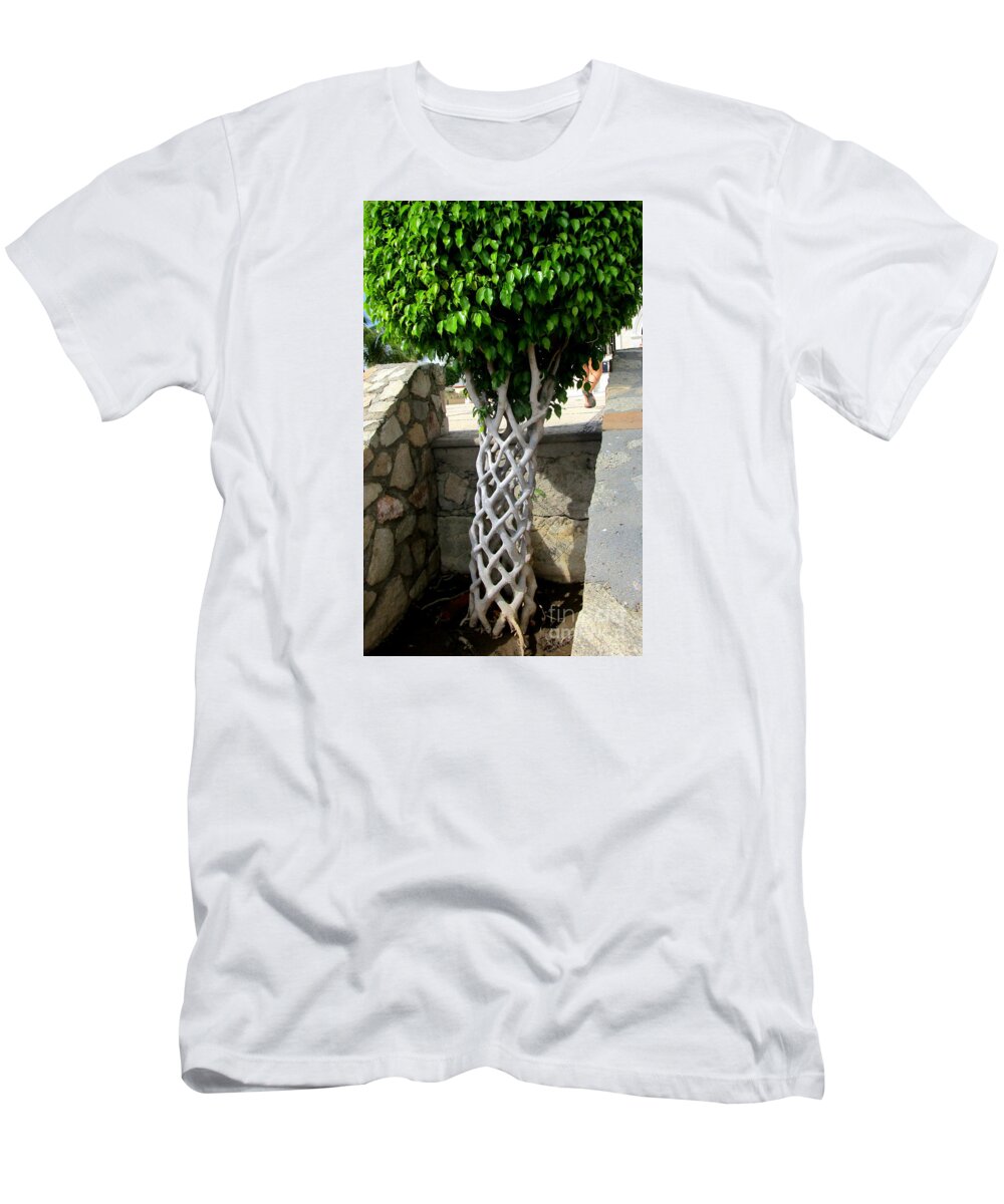 Tree T-Shirt featuring the photograph Braided Tree Trunk by Randall Weidner