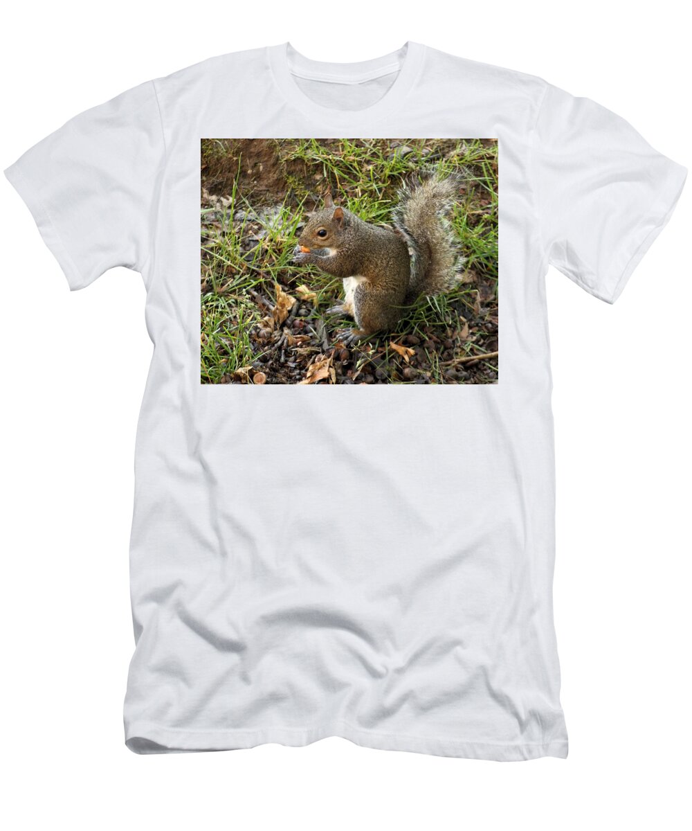 Squirrel T-Shirt featuring the photograph Breakfast Time by Shoeless Wonder
