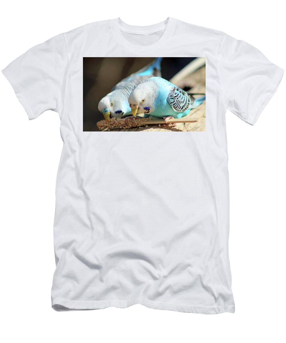 Budgie T-Shirt featuring the photograph Budgies Snacking by Cynthia Guinn