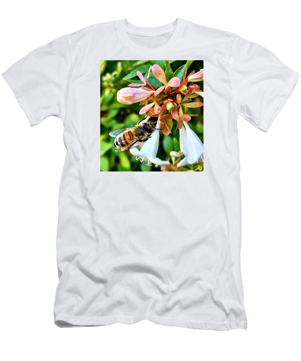 Bee T-Shirt featuring the photograph Busy As a Bee by Brad Hodges