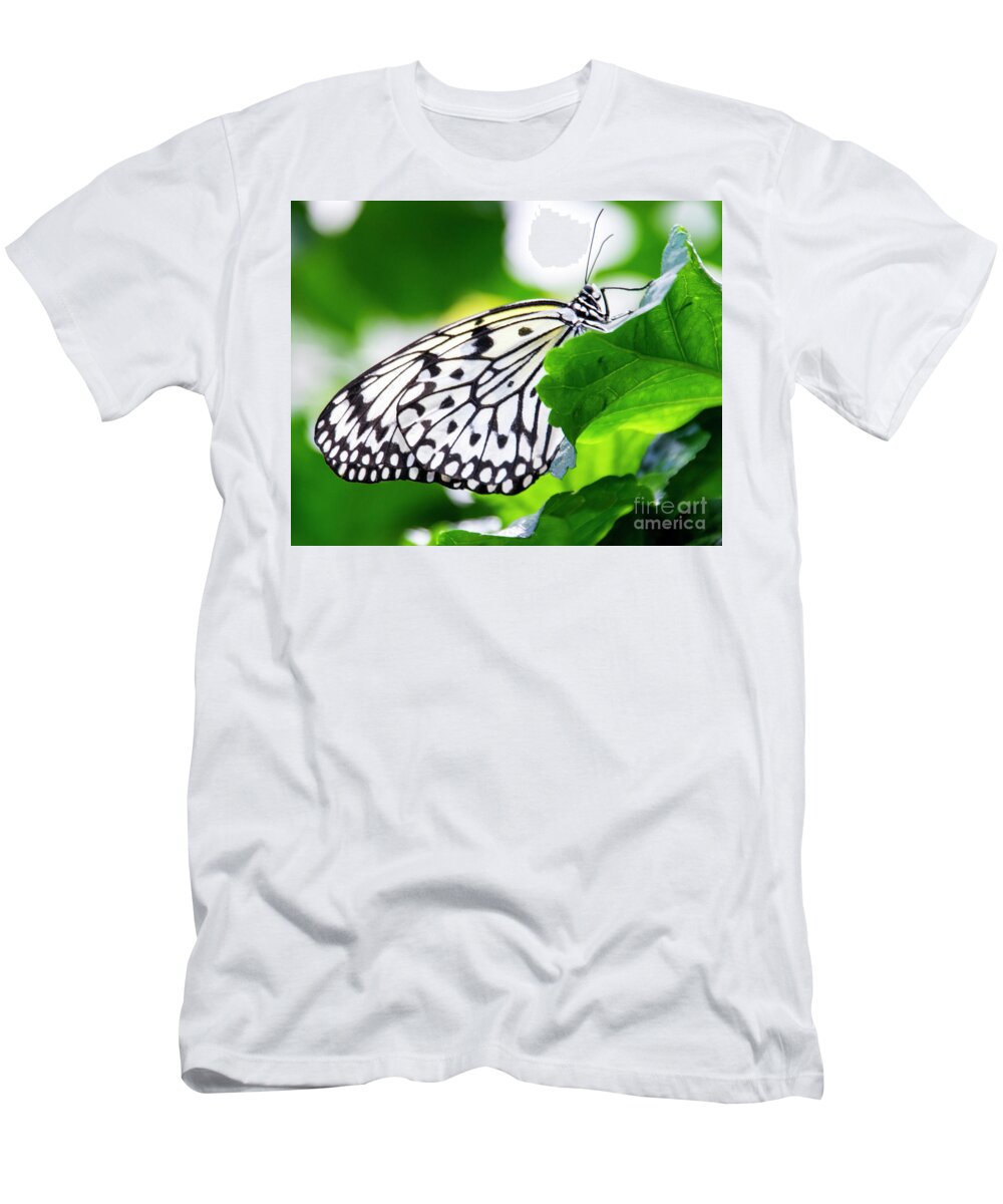 Butterfly T-Shirt featuring the photograph Butterfly #2025 by Chuck Flewelling