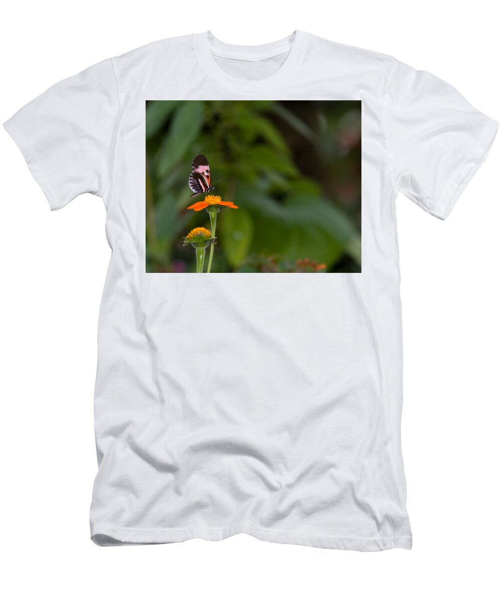 Butterfly T-Shirt featuring the photograph Butterfly 26 by Michael Fryd