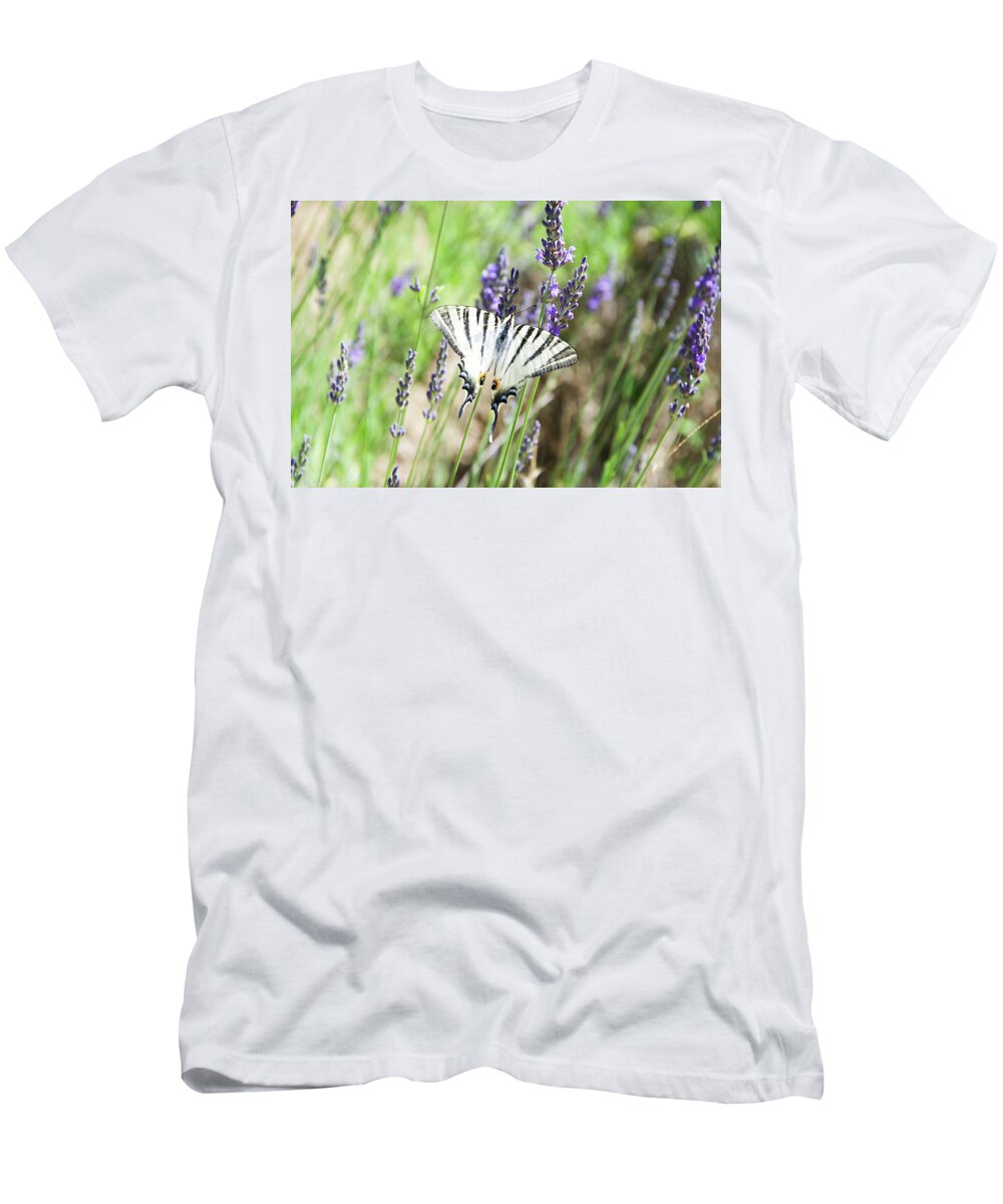 Lavenders T-Shirt featuring the photograph Butterfly by Camila Se