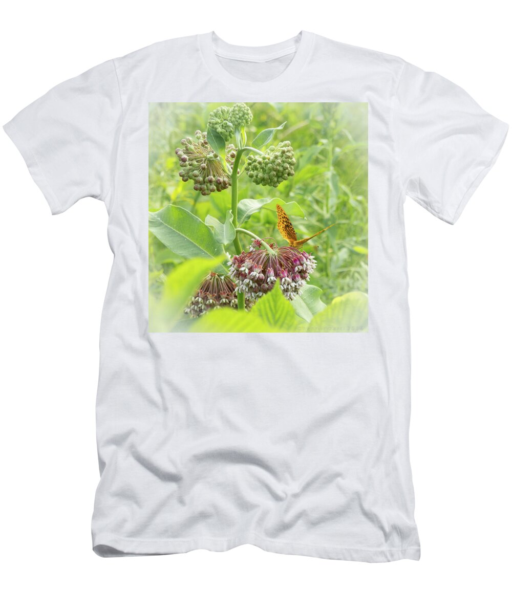 Butterfly T-Shirt featuring the photograph Butterfly On Wild Flowers by Henri Irizarri