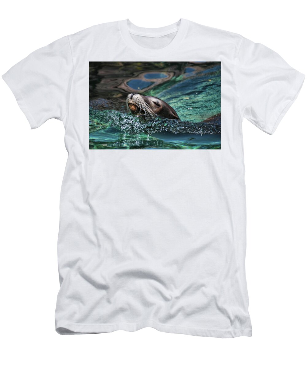 Seal T-Shirt featuring the photograph California Dreaming by Allen Beatty