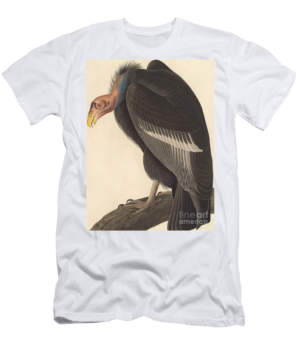 Vulture T-Shirt featuring the painting Californian Vulture by John James Audubon