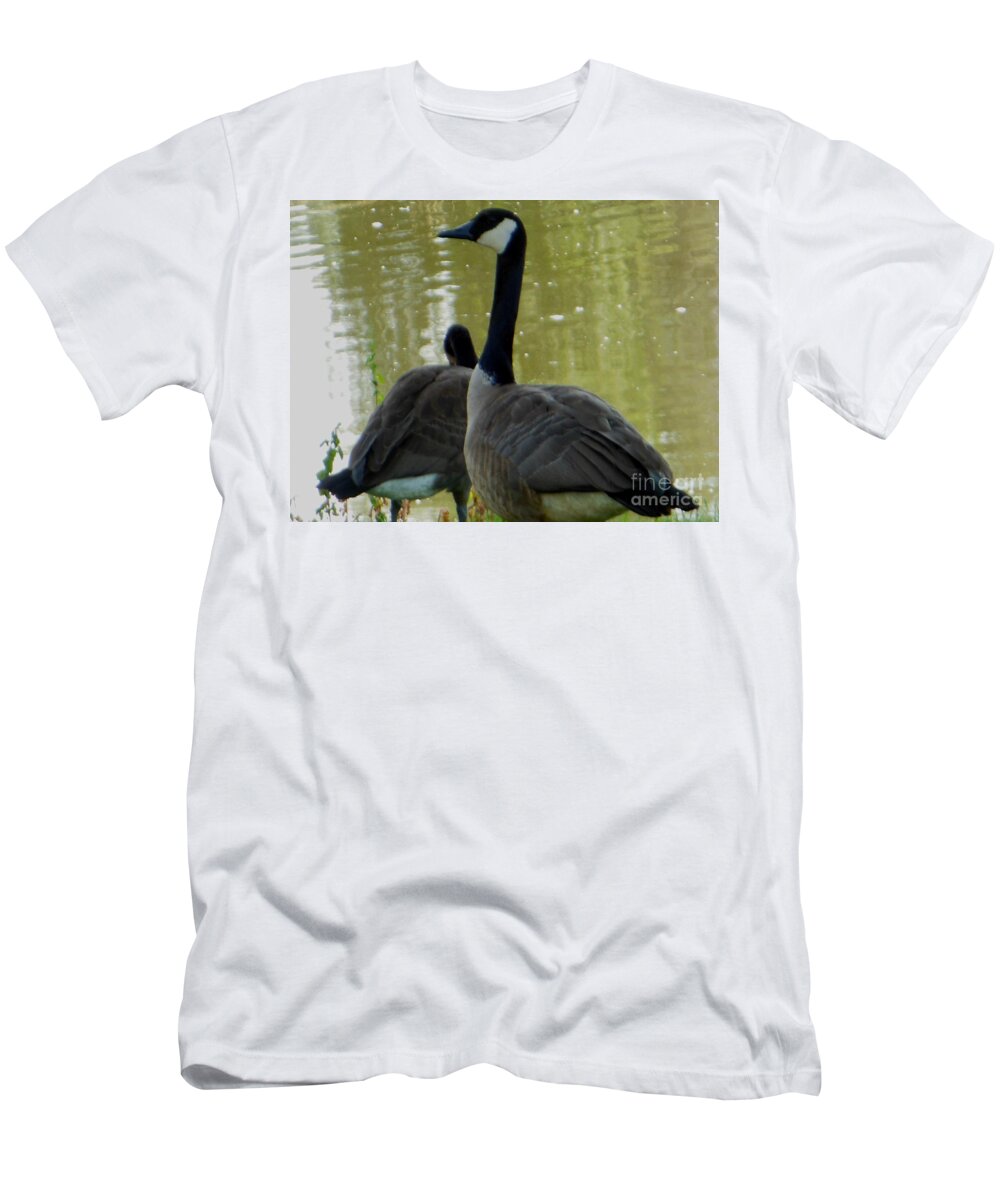 Canada Goose T-Shirt featuring the photograph Canada Goose Edge of Pond by Rockin Docks Deluxephotos