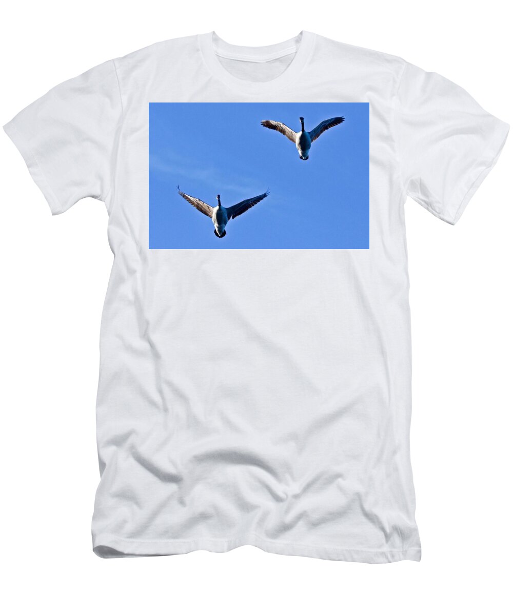 Canadian T-Shirt featuring the photograph Canadian Geese 1644 by Michael Peychich