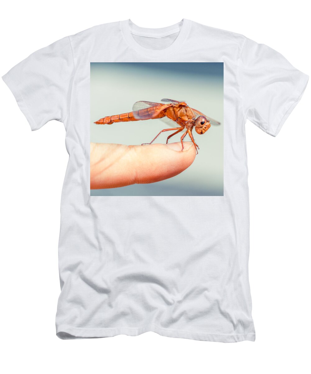 Dragonfly T-Shirt featuring the photograph Can't Make Up My Mind by TC Morgan