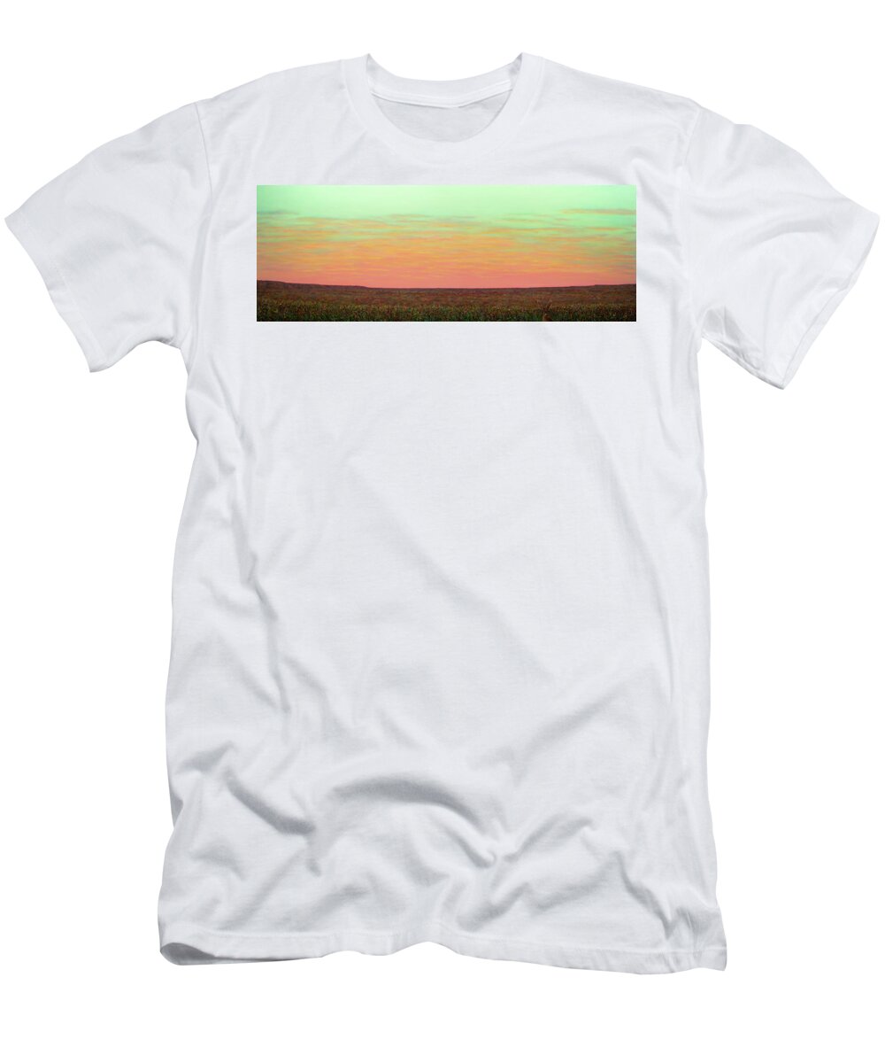 West T-Shirt featuring the painting Caprock Sunrise with Bunny Holly by James W Johnson