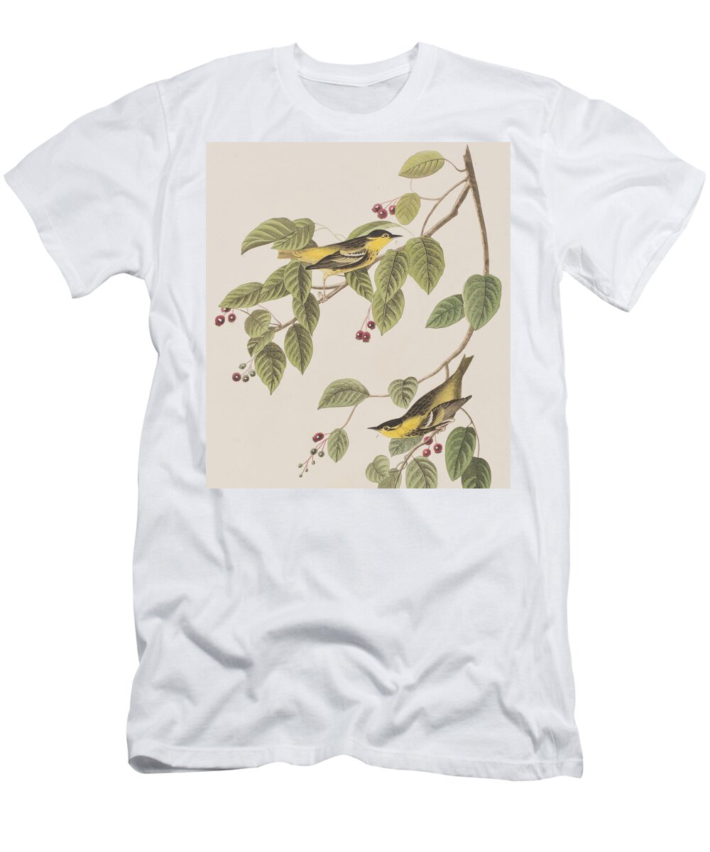 Warbler T-Shirt featuring the painting Carbonated Warbler by John James Audubon