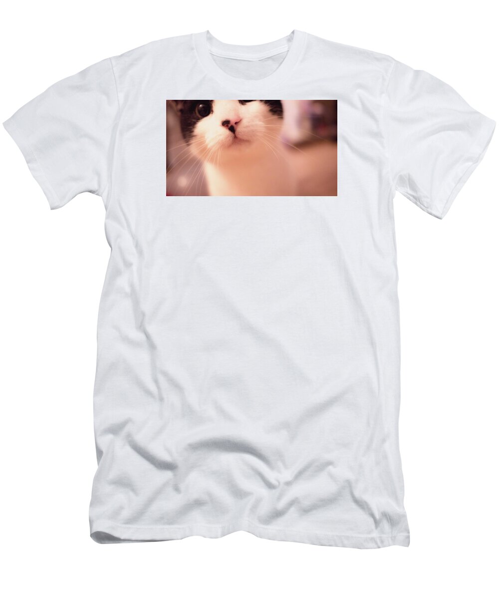 Cat T-Shirt featuring the photograph Cat by Indrek Laanetu