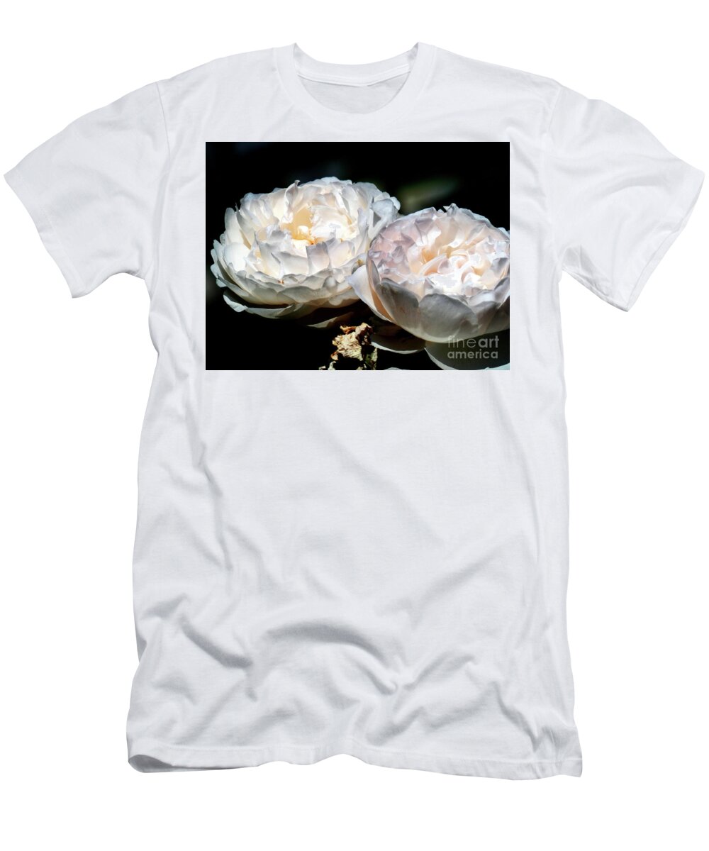 Rose T-Shirt featuring the photograph Caught the Sun by Humphrey Isselt
