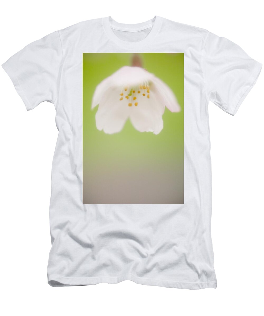 Cherryblossoms T-Shirt featuring the photograph Cherry blossom by Yasuhiro Fukui