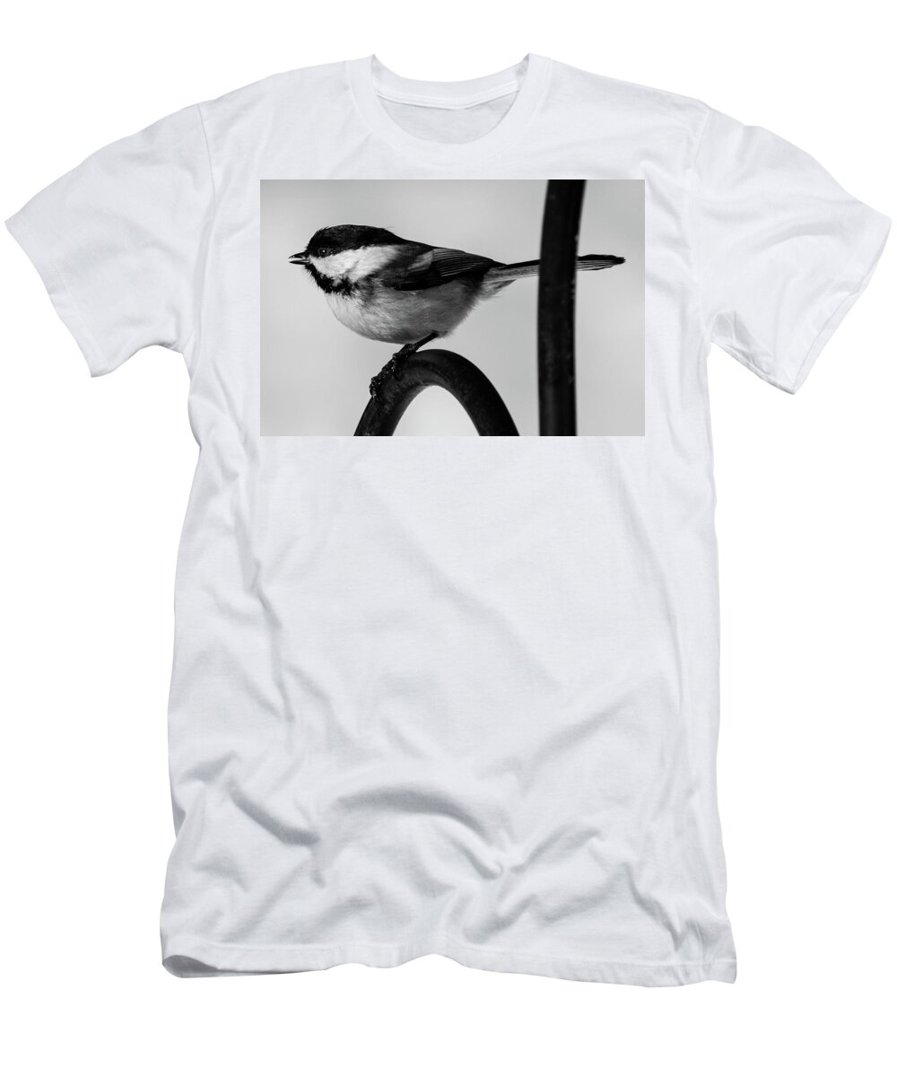 Bird T-Shirt featuring the photograph Chickadee by Darryl Hendricks